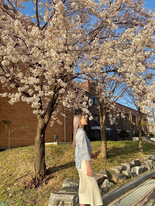 출처: 파이스타일 (파이베트)