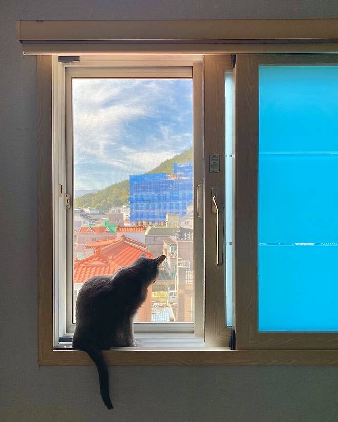 출처: 집꾸미기에서 정보 알아보기 (▲이미지 클릭!)