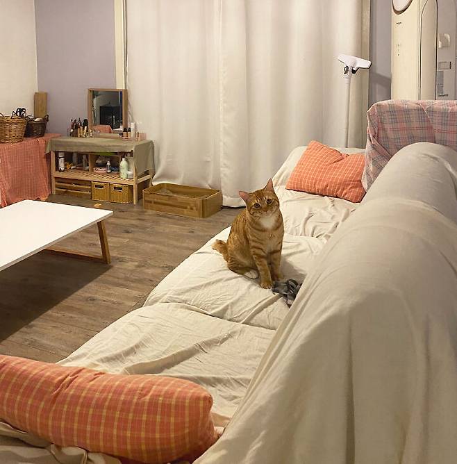 출처: 집꾸미기에서 <거실 아이템> 정보 알아보기 (▲이미지 클릭!)