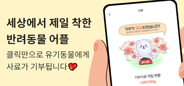 강아지가 초콜릿을 먹으면 어떤 증상이 나타날까요? | 올라펫