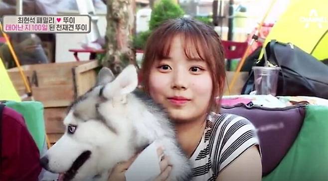 출처: 채널A '개밥 주는 남자'