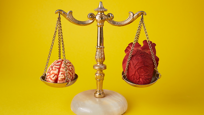 출처: 게티이미지뱅크