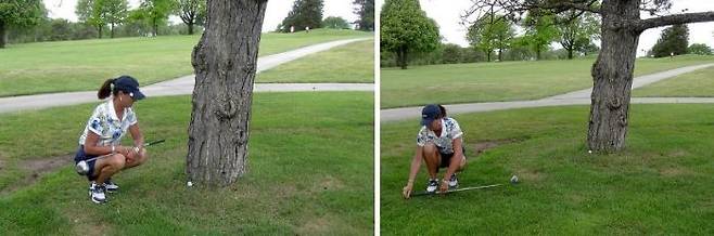 출처: lwmga.tripod.com