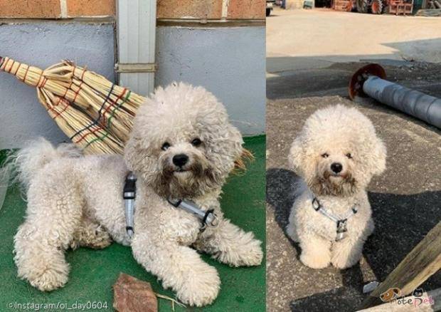 출처: Instagram/oi_day0604(이하)