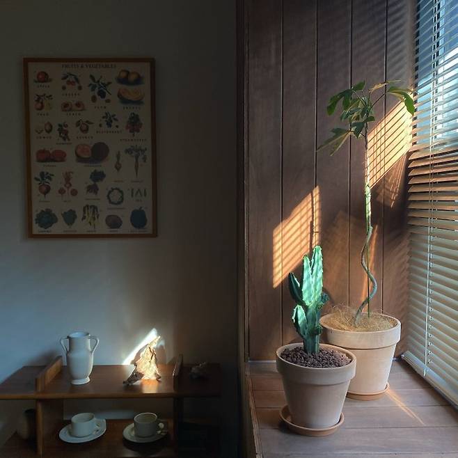 출처: 온라인 집들이 제품 정보 모아 보기 (▲이미지 클릭)