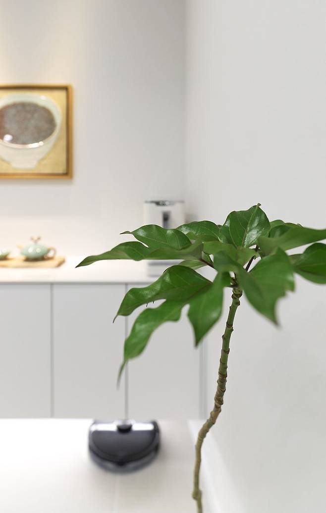 출처: 전문가 집들이 보러 가기 (▲이미지 클릭)