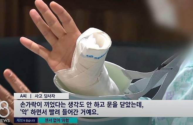 출처: SBS 8시 뉴스