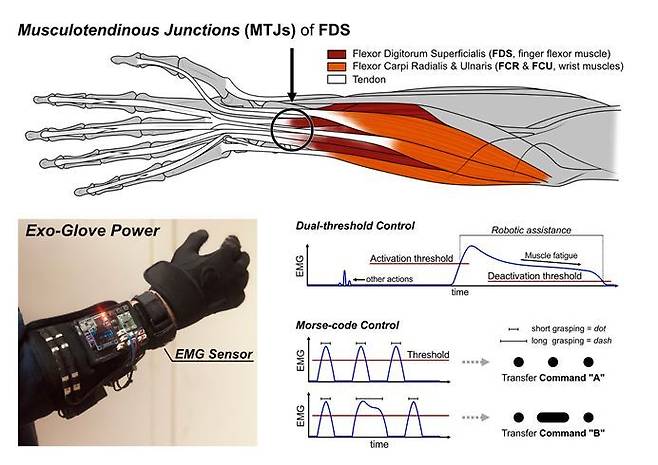 출처: 서울대학교