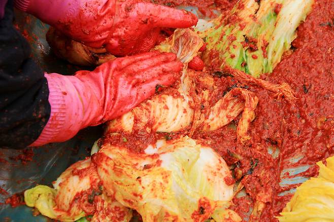 출처: 게티이미지뱅크