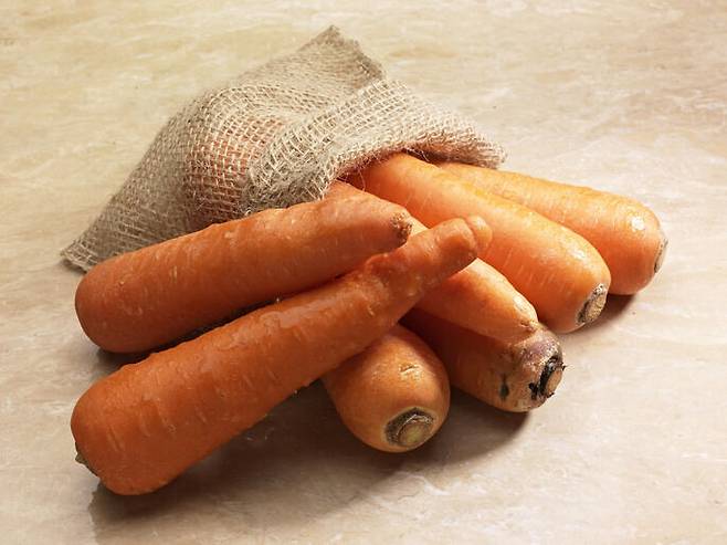 출처: 게티이미지뱅크