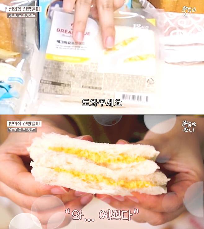 출처: 뽀니 BreadTube 유튜브 채널