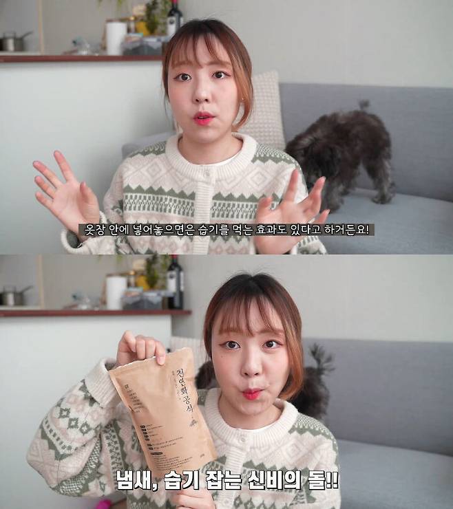 출처: 공실이 유튜브 채널