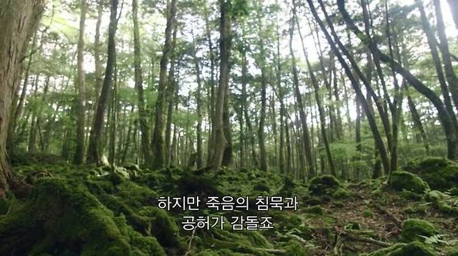 출처: '다크 투어리스트: 어둠을 찾아가는 사람들'