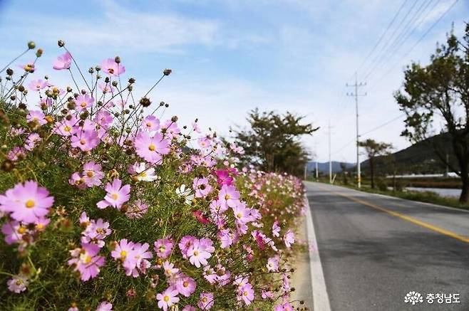 출처: 충남문화관광 공식 홈페이지