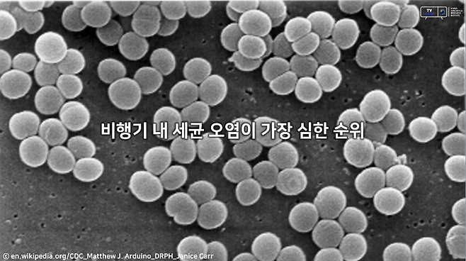 출처: en.wikipedia.org, CDC_Matthew J. Arduino_DRPH_Janice Carr