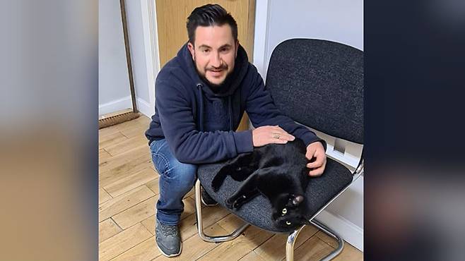 출처: Cats Protection