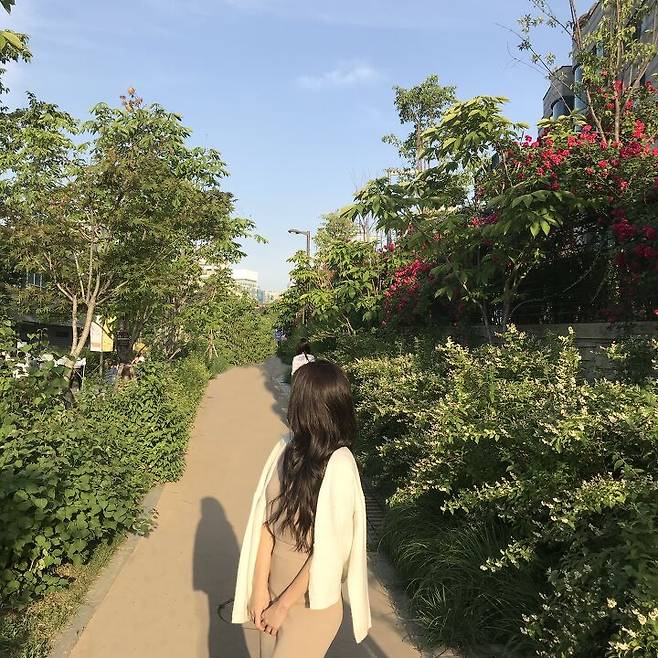 출처: 파이스타일 (파이베트)