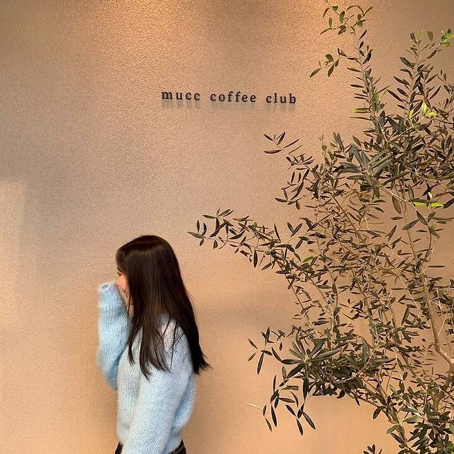 출처: 파이스타일 (파이베트)