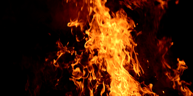 출처: 포춘에이드