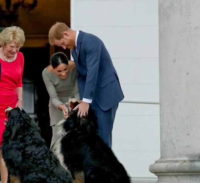 출처: https://www.cheatsheet.com/entertainment/after-two-years-the-secret-name-of-prince-harry-and-meghan-markle-rescue-dog-is-revealed.html/