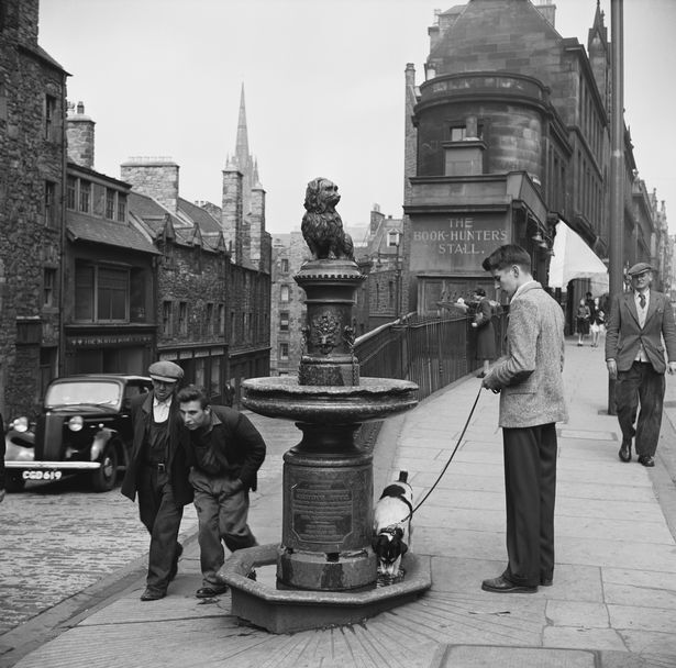 출처: https://www.dailyrecord.co.uk/scotland-now/story-behind-greyfriars-bobby-scotlands-22465887