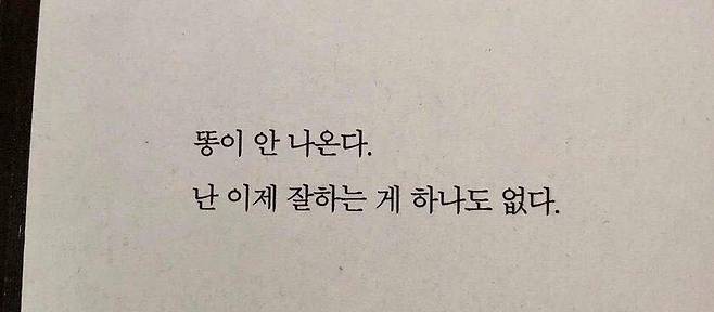 출처: 커뮤니티