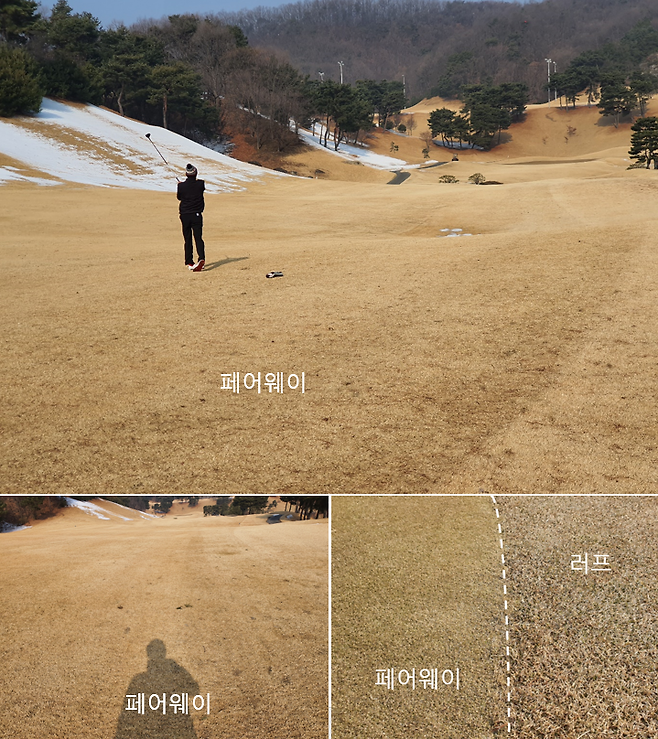 출처: allthatgolf.kr