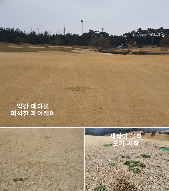 출처: allthatgolf.kr