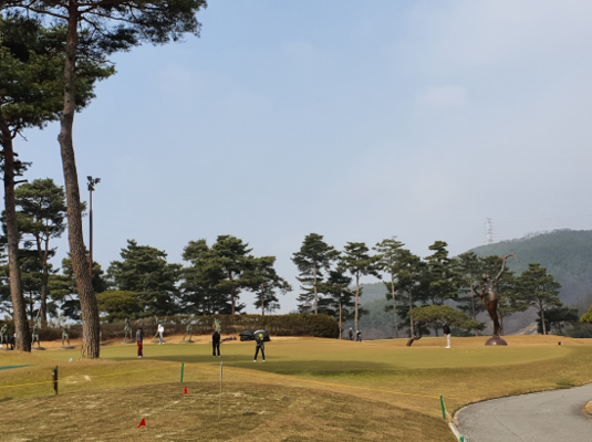 출처: allthatgolf.kr