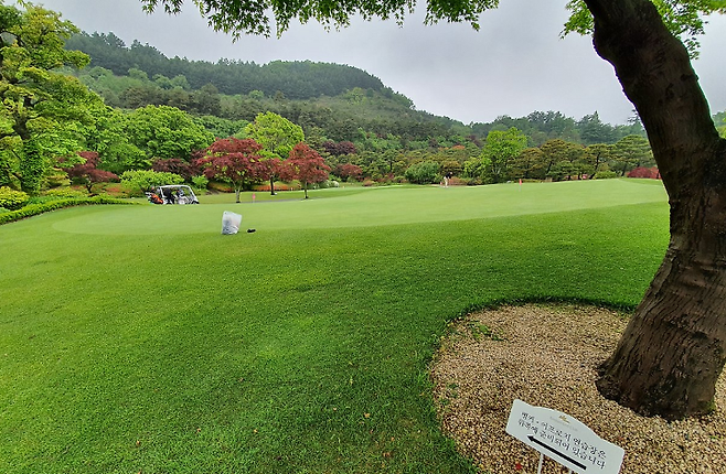 출처: allthatgolf.kr