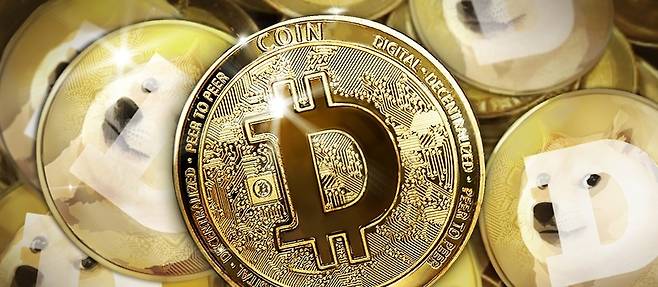 도지코인.[헤럴드경제 DB]