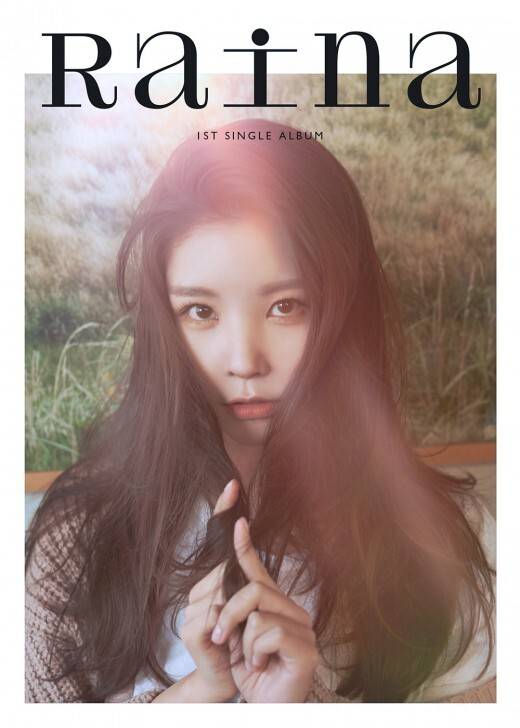 출처: 플레디스