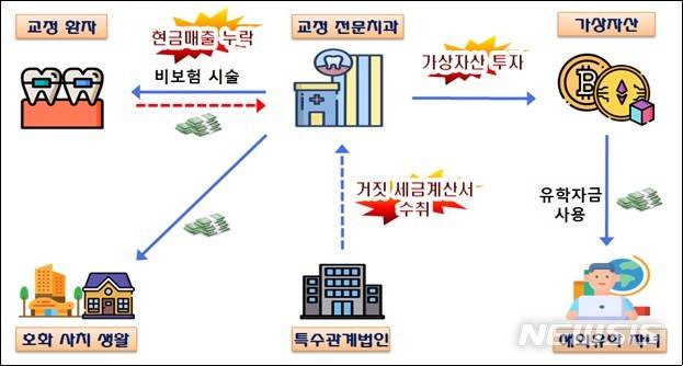[세종=뉴시스] 국세청에 적발된 치과 의사 A씨의 사례. (자료=국세청 제공)