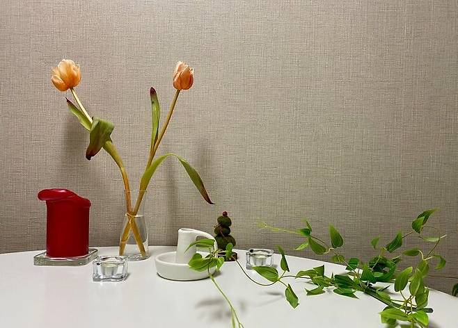 출처: 오늘의집 제품정보 모아보기(▲이미지클릭)