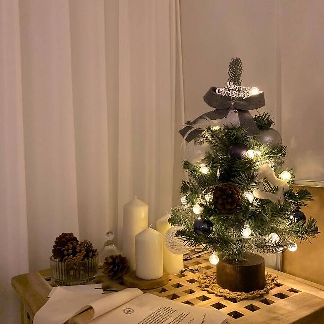 출처: <미니트리> 등 제품정보 모아보기(▲이미지클릭)