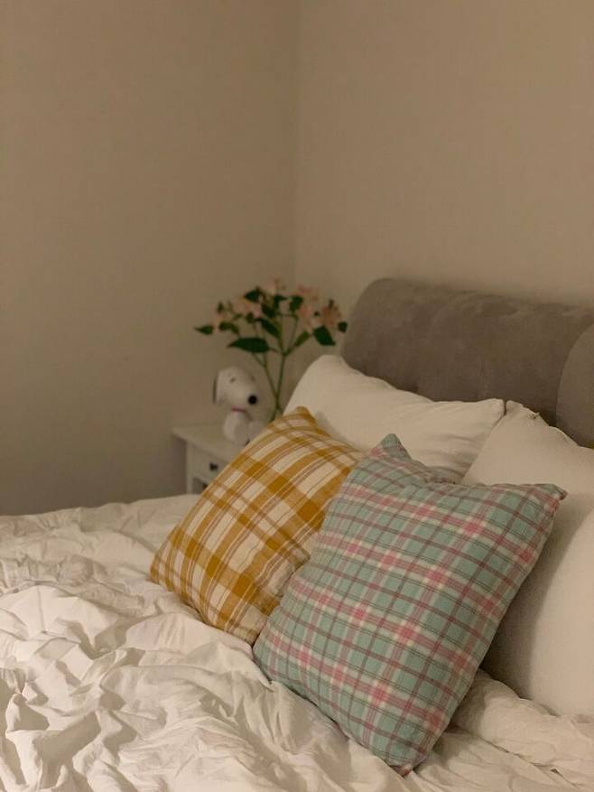 출처: <쿠션커버> 등 제품정보 모아보기(▲이미지클릭)