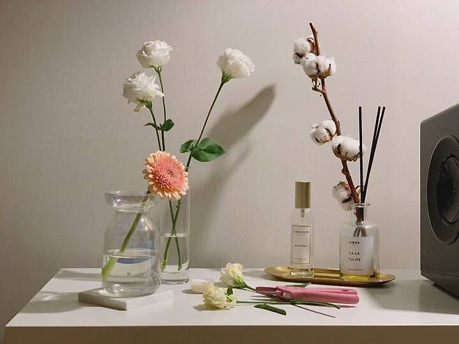 출처: 오늘의집 제품정보 모아보기(▲이미지클릭)