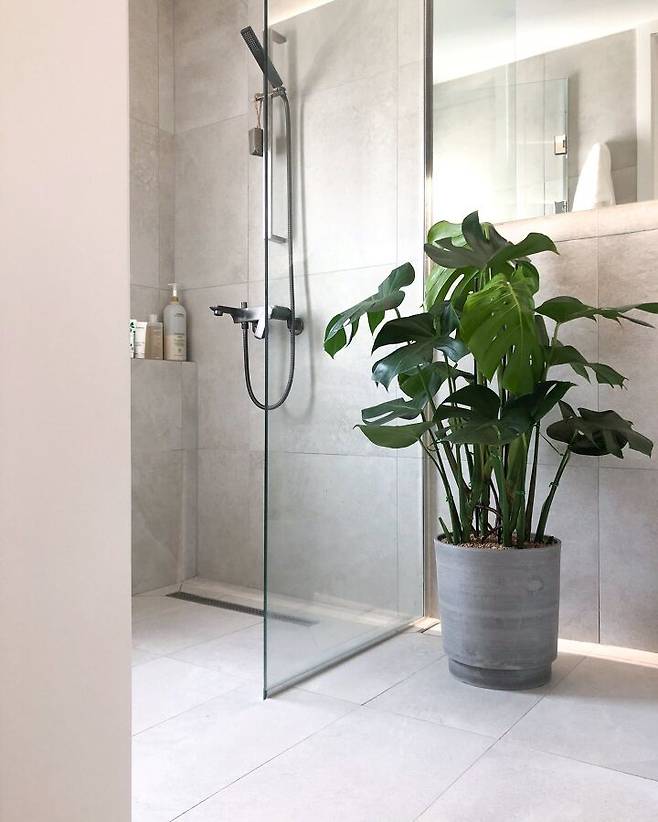 출처: 오늘의집 제품정보 모아보기(▲이미지클릭)