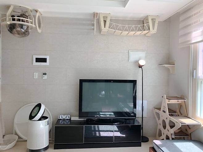 출처: <캣타워> 등 제품정보 모아보기(▲이미지클릭)