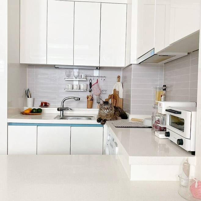 출처: 오늘의집 제품정보 모아보기(▲이미지클릭)