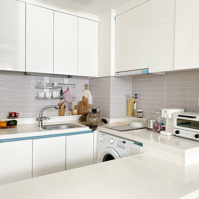 출처: 오늘의집 제품정보 모아보기(▲이미지클릭)