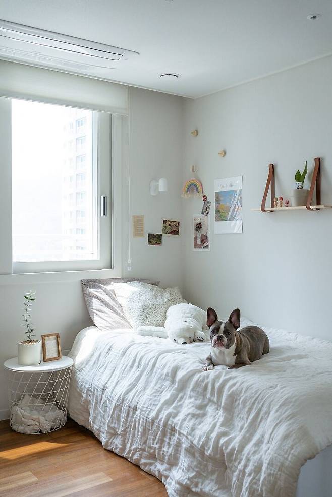 출처: <침구> <조명> 제품 정보 보러가기 (▲이미지 클릭)