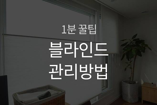 출처: 오늘의집 에서 보기 (▲이미지 클릭)