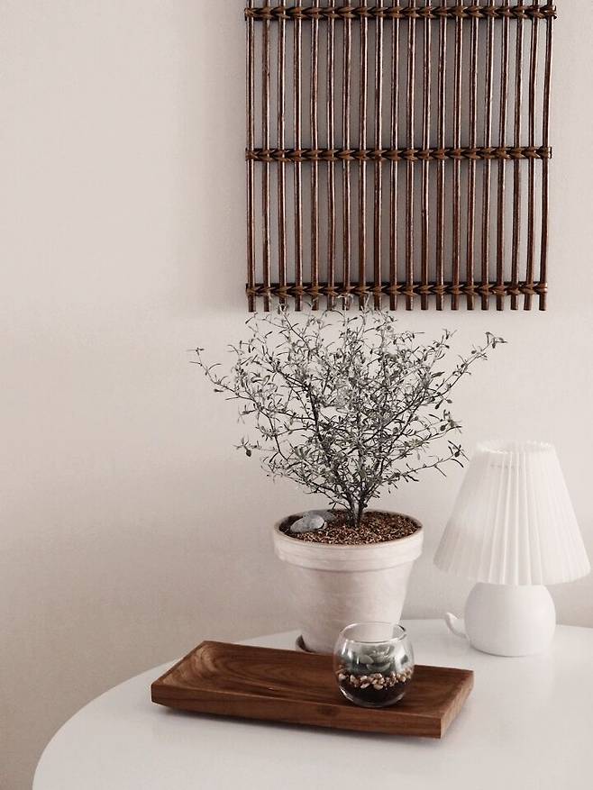 출처: <조명> <우드 트레이> 제품 정보 보러가기 (▲이미지 클릭)