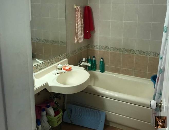 출처: 온라인 집들이 보러가기 (▲이미지 클릭)