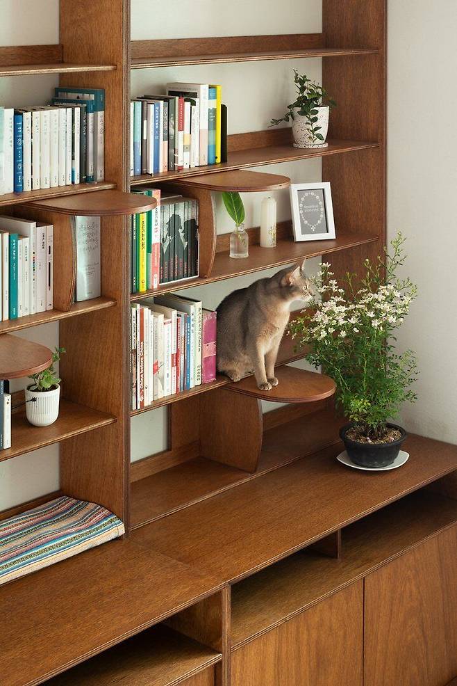 출처: 온라인 집들이 제품 정보 모아보기 (▲이미지 클릭)