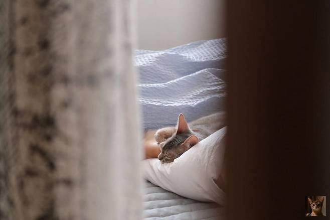 출처: 온라인 집들이 보러가기 (▲이미지 클릭)