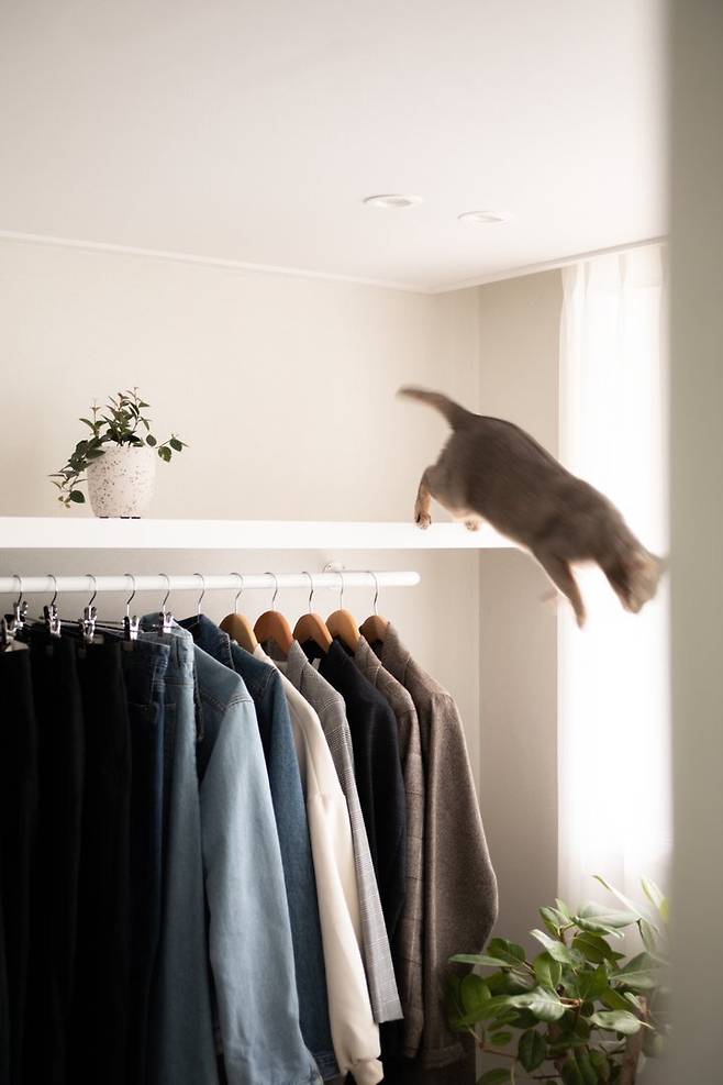 출처: 온라인 집들이 보러가기 (▲이미지 클릭)