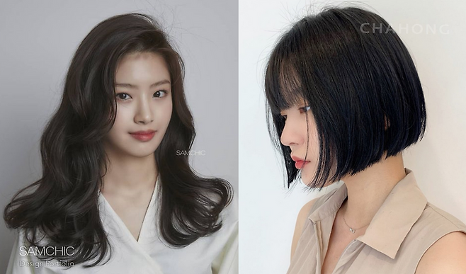 출처: 쌤시크, 차홍