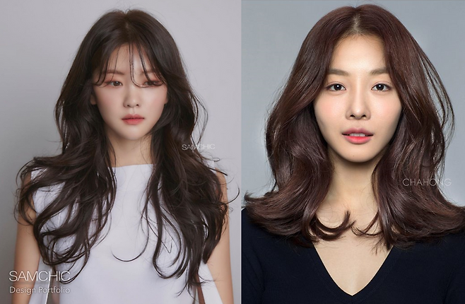 출처: 쌤시크, 차홍